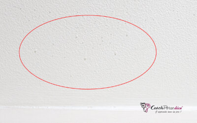 Microbullage de la peinture : causes et solutions