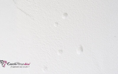 Des cloques sur un enduit : pourquoi ça arrive et comment les éviter ?